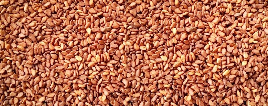 Reddish Humera Sesame Seed
